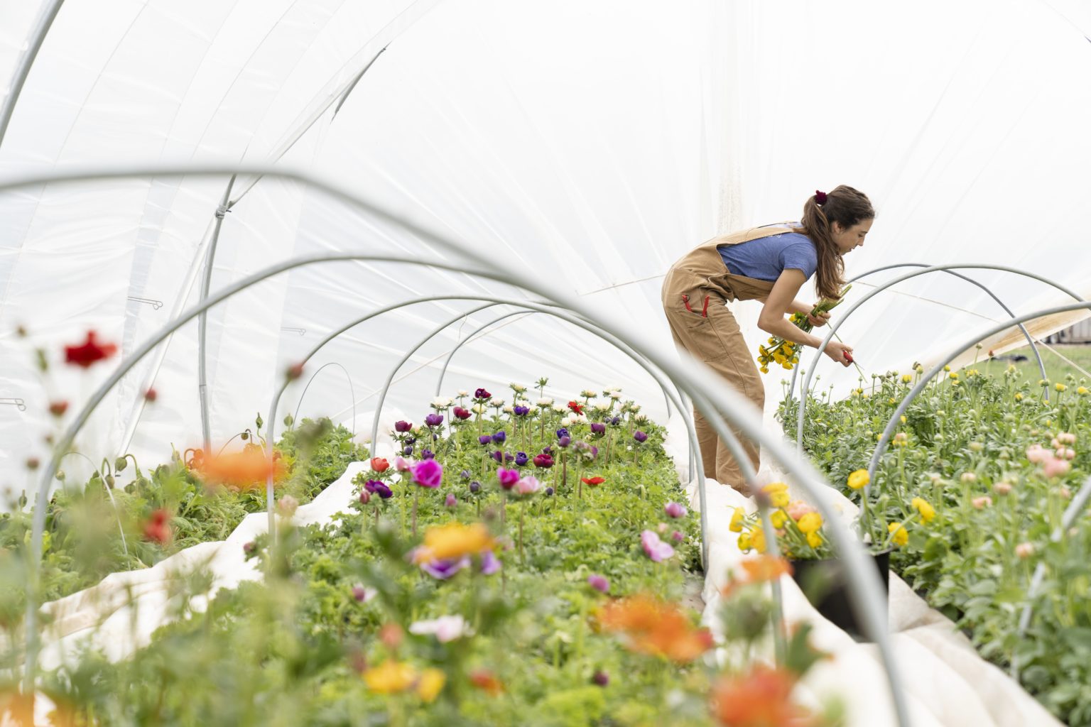 Vermittlung Arbeitskräfte Landwirtschaft - Personalueberlassung Osteuropa